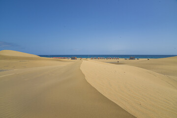 Fototapeta na wymiar Dünenlandschaft auf der Insel Gran Canaria