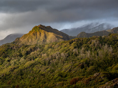 Sunset over the west coast hills in Paparoa National Park; Greymouth, South Island, New Zealand
