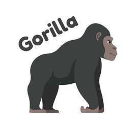 Wild African animal vector concept