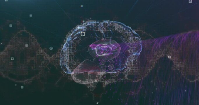 Animation of viewfinders, human brain and dynamic wave pattern over abstract background
