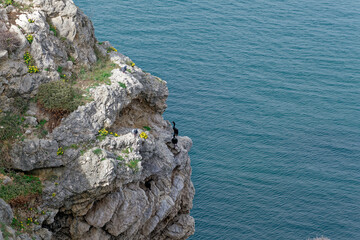 Cormorants in front of their nests next to the rocks by the sea