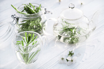 Galium aparine cleavers, clivers, goosegrass, catchweed, stickyweed, robin-run-the-hedge, sticky willy, sticky willow, stickyjack, stickeljack, and grip grass