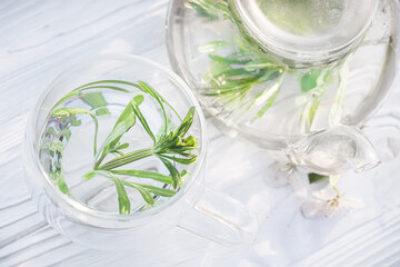Galium aparine cleavers, clivers, goosegrass, catchweed, stickyweed, robin-run-the-hedge, sticky willy, sticky willow, stickyjack, stickeljack, and grip grass