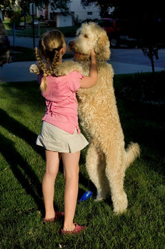 Young girl plays with her pet fanci doodle in her yard; Elkhorn, Nebraska, Unied States of America