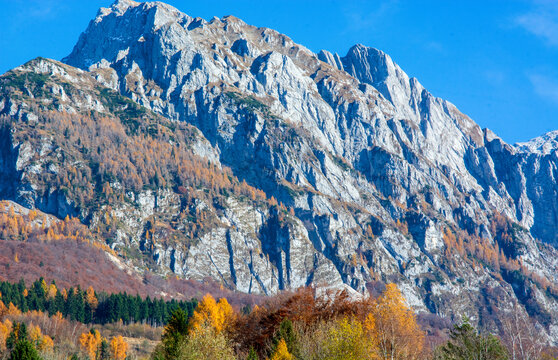 the splendid colors of autumn on the alpago mountains in Belluno in Italy