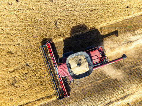 Overhead aerial view of a combine in a grain field at harvest with a full hopper of grain, near Beiseker, Alberta; Alberta, Canada
