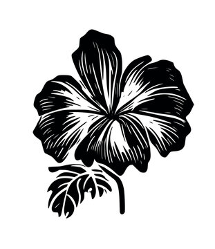 Hibiscus flower tropical exotic black vector engraving tattoo silhouette drawing illustration.Hawaiian floral plant stencil design element.Plotter laser cutting.Cut file.Logo.Shirt Print.DIY