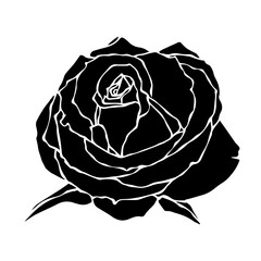 Silhouette of a flower, rose bud. Decorative botanical element. Vector graphics.