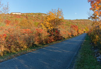 Autumn colors before sunset on a road on the Karst plateau in Gorizia province, Italy - obrazy, fototapety, plakaty