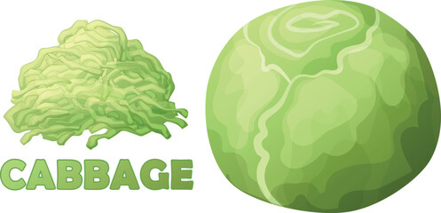 Shredded cabbage and whole vegetable vector icon isolated on white background. Fresh white cabbage cartoon illustration, sliced food ingredient, organic vegetarian product clipart