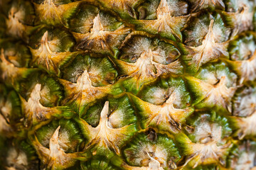 Macro shot of pineapple, close-up peel texture, natural food background.