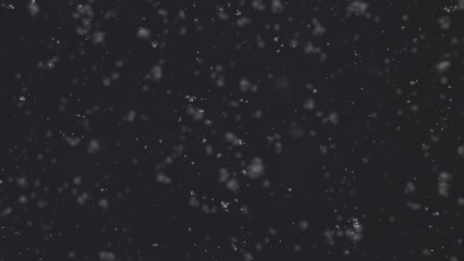 Winter fluffy snow falls on a black background. Overlay effect