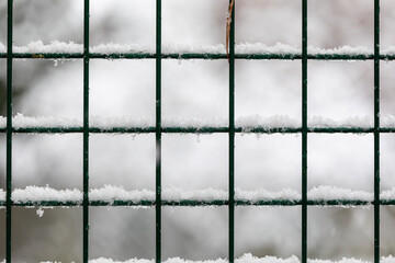 Captivating Winter Scene: Fresh Snow on Metal Fence in Blurry Grey Background