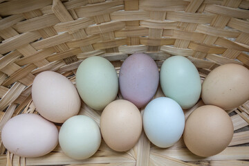 Multi-colored eggs from domestic hen chickens of different colors lie in a wicker basket.