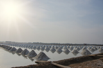 Agricultural salt production in Thailand