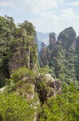 The amazing sandstone pillars of Zhangjiajie National Forest Park, Hunan, China