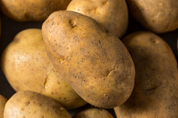 Raw Organic Idaho Russet Potatoes