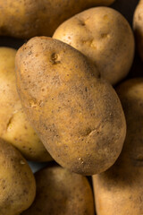 Raw Organic Idaho Russet Potatoes
