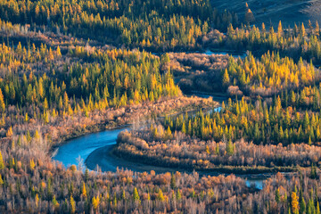 Autumn landscape of Kurai steppe with Chuya river, mountain forest of Siberia and sunny beams of Altai background. Autumn Russia tourism concept and mountain forest nature scenery. Siberia.