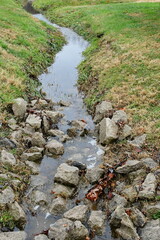 Water Flowing in a Stream in a Park