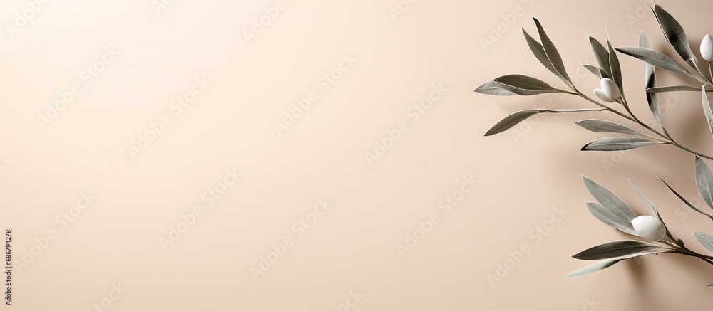 Leinwandbilder minimalistic nature concept with copy space elegant olive tree leaves on neutral soft pastel beige w