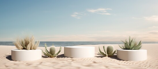 Product promotion on beach with white podiums cacti Copy space image Place for adding text or design