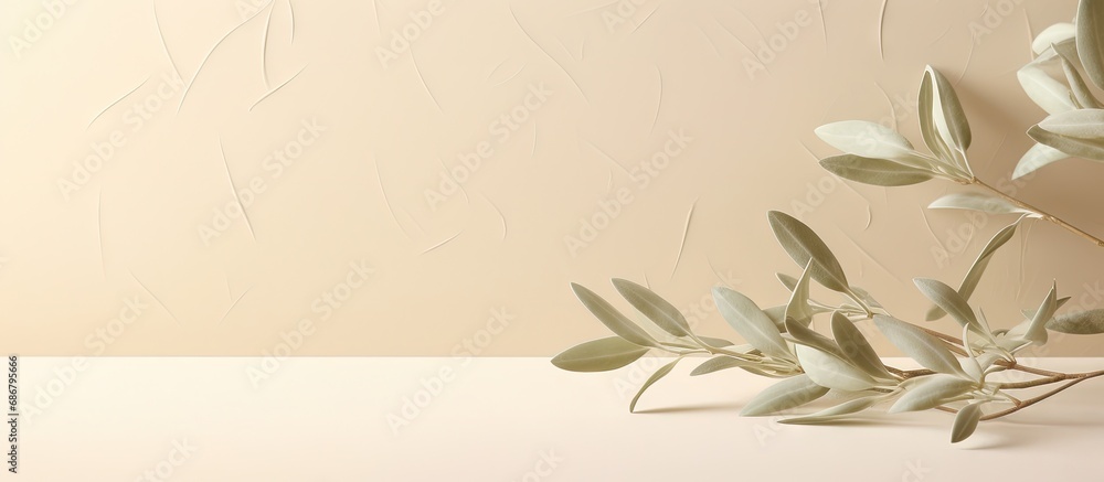 Poster Minimalistic nature concept with copy space Elegant olive tree leaves on neutral soft pastel beige wall Copy space image Place for adding text or design