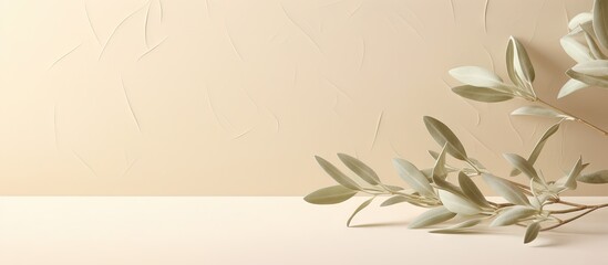 Minimalistic nature concept with copy space Elegant olive tree leaves on neutral soft pastel beige wall Copy space image Place for adding text or design