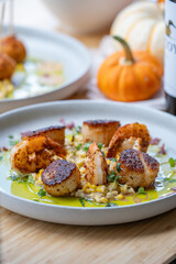 Seared scallops and shrimp on a bed of succotash.