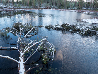 Freezing forest lake and fallen trees