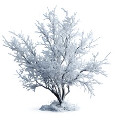 A winter tree with glistening branches covered in snow