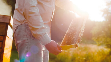 Blurred nature background. beekeeper takes care of hives, watches bees work on frame while making...