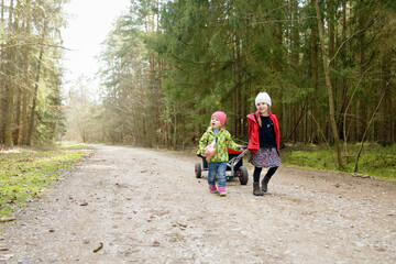 Two little sisters pulling trolley on forest track