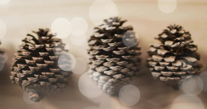 Animation of spots of light over christmas pine cones decorations