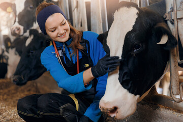 Happy young woman veterinarian with phonendoscope petting milk cow. Concept vet worker of livestock...