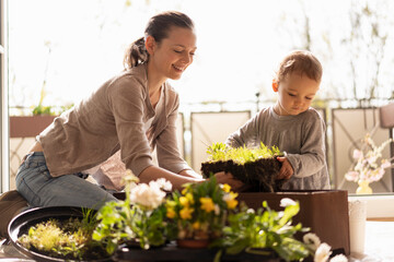 Mother and daughter planting flowers together on balcony - obrazy, fototapety, plakaty