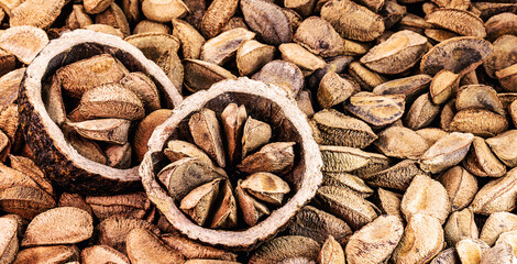 Brazil nuts, also known as Brazil nuts, natural nuts from northern Brazil,