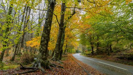 Autumn landscape at Geres National Park