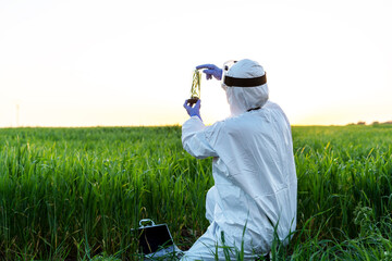 Female scientist researching in field and holding a glass with plant at sunset