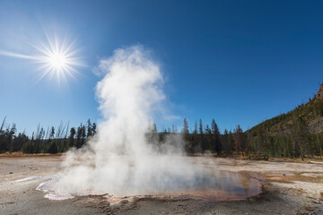 USA, Yellowstone National Park, Black Sand Basin, steaming Emerald Pool
