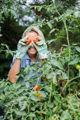 Blond smiling woman harvesting tomatoes, tomatoes on eyes