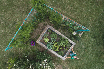 Aerial view of woman standing by raised bed on grassy land in yard