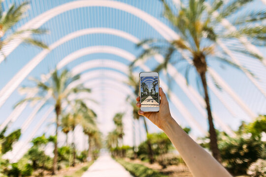 Spain, Valencia, Ciudad de las Artes y de Las Ciencias, L'Umbracle, woman taking cell phone picture at palm garden