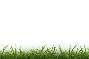 Obraz premium Green grass on white background. Generated AI