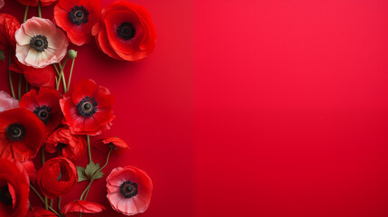 A random spread of poppies on a soft red surface, Valentine’s Day, delicate flowers, top view, with copy space