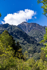 Franz Joseph Glacier on the west side of the South Island of New Zealand