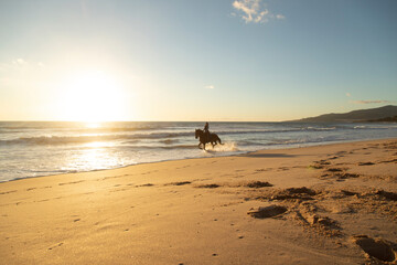 Spain, Tarifa, woman riding horse on the beach at sunset