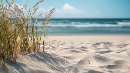 A beach with sand and blades of grass