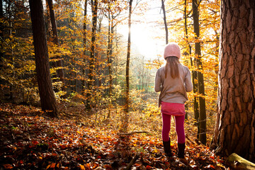 Young girl standing alone in autumn forest, rear view