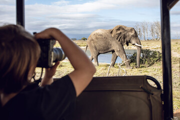 Back view of girl taking photo of an elephant, Inverdoorn game Reserve, Breede River DC, South...